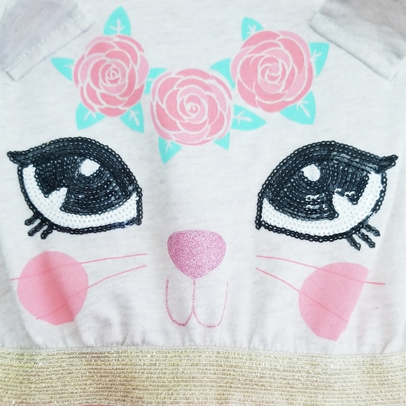 Little Lass Kitty Cat Print Peach Tutu Skirt Dress Size 3T - Picture 4 of 12